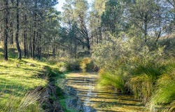 711 Wearnes Road, Bundarra, NSW 2359
