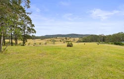 1742 Wooli Road, Pillar Valley, NSW 2462