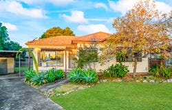 11 Birchgrove Ave, Canley Heights, NSW 2166