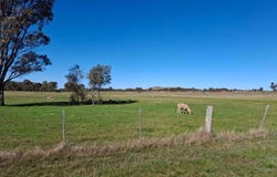 65 Halls Road, Talbot, Vic 3371