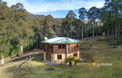 78 Cethana Road, Cethana, Tas 7306