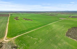 157 Coombs Road, Yeelanna, SA 5632