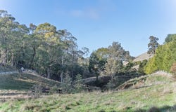 Forest Range, SA 5139