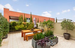 13/3 Runge Place, Norwood, SA 5067