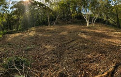 31 Mansfield Road, Galston, NSW 2159