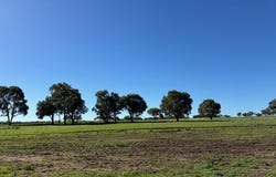 Lot 310, Francisco Road, Bonniefield, WA 6525