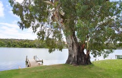 56 Schmidt Lane, Bowhill, SA 5238