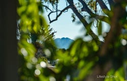 14 Morgo Street, Urunga, NSW 2455