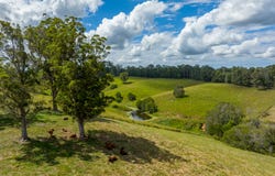 100 Schreibers Road, Cooran, Qld 4569