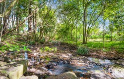 52 Gumland Drive, Witta, Qld 4552