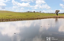 46 Shiraz Drive, Gulgong, NSW 2852