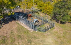 49 Serafini Drive, Sandy Creek, Qld 4515