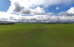 401 Mundoora-Wokurna Rd, Mundoora, SA 5555