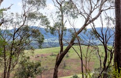 280 Mine Road, Cottles Bridge, Vic 3099