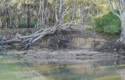 Lot 631, Branch Drive, Echuca, Vic 3564
