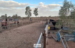 227 Nineteenth Street, Irymple, Vic 3498