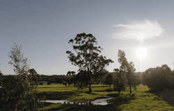 Meander Road, Bullsbrook, WA 6084