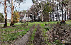 95 Wonga Road, Kawarren, Vic 3249