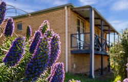 5/123A Abbotsfield Road, Claremont, Tas 7011