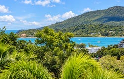21/15 Flame Tree Court, Airlie Beach, Qld 4802