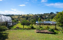 21 Lilac Tree Court, Beechmont, Qld 4211