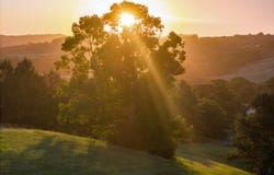 111 Fowlers Lane, Bangalow, NSW 2479