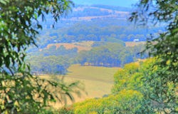 27 William Road, The Patch, Vic 3792