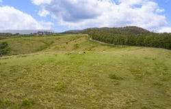 178-180 Dunns Road, Wolffdene, Qld 4207