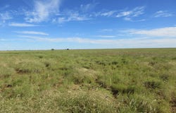 715 Royston Lane, Longreach, Qld 4730