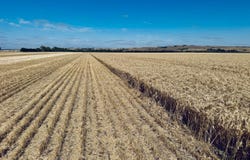 474 Pub Corner Road, Cockaleechie, SA 5631