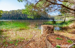 Lot 142, Karri Lane, Quinninup, WA 6258