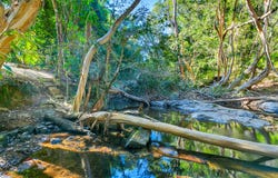242 Ganyan Drive, Speewah, Qld 4881