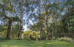 35 Ben Nevis Circuit, Bundanoon, NSW 2578