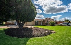 19 Sellars Way, Bull Creek, WA 6149