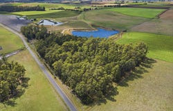 - Native Plains Road, Sassafras, Tas 7307