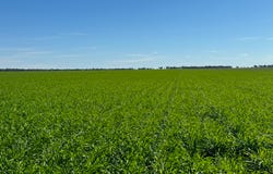 141 Cheecome Road, Moree, NSW 2400
