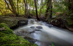 Peartree Hill Road, Kurrajong, NSW 2758