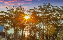 3 Malumba Avenue, Saratoga, NSW 2251