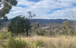 1713 Back Creek Road, Tenterfield, NSW 2372