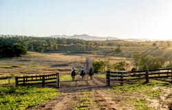 Lot 1,2,3,4 & 5 Rosewood-Warrill View Road, Coleyville, Qld 4307