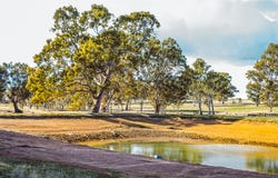 1918 Cavendish-Glendinning Road, Gatum, Vic 3407