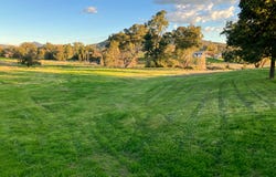 88 Mount Cobla Road, Currabubula, NSW 2342