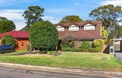 38 Myee Road, Macquarie Fields, NSW 2564