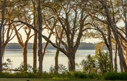 49 Lake Weyba Drive, Weyba Downs, Qld 4562