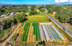 Leppington, NSW 2179