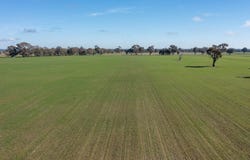 PP2180 Boralma-Rutherglen Road, Springhurst, Vic 3682