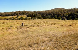 937 Boro Road, Boro, NSW 2622