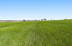 818 Dungannon Road, Clifton, Qld 4361