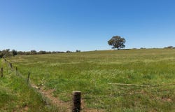 Indigo Post Office Road, Cornishtown, Vic 3683