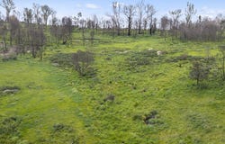 806 Weibye Track, Creightons Creek, Vic 3666